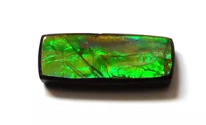 11.45 Ct Natural Canadian Ammolite Cabochon Loose Gemstone 23.8X9.4X4.4MM JC55 - Picture 1 of 4