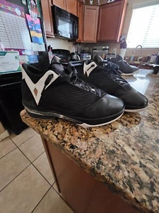 Size 12 - Air Jordan 2009 Black White - Picture 1 of 5