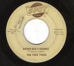 THE TRUE TONES 45RPM '64 SPOT NEVER HAD A CHANCE DOO WOP BALLAD VG VINYL - Picture 1 of 1
