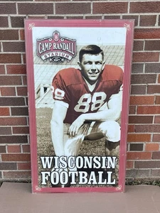 Pat Richter Camp Randall Stadium Display NCAA NFL WI Badgers Man Cave Decor - Picture 1 of 21