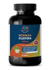 Healthy Weight - Moringa Oliefera Extract 1200mg - Powder - Super Food - 1B 60Ct
