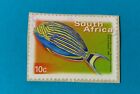 Stamp South Africa 2000 Bluebanded Surgeon Fish Used 10c Stamps African