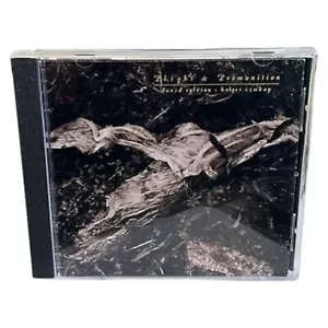 Plight & Premonition by David Sylvian (CD, Mar-1988, Virgin) - Foto 1 di 2