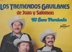 LOS TREMENDOS GAVILANES de Juan y Salomon~El Cara Parchada, 1981 orig Camden LP! - Picture 1 of 6