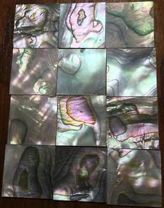 28.7 grams (12pcs) Abalone Fretboard Inlay NOS Gibson Kalamazoo Factory Lot-5 - Picture 1 of 5