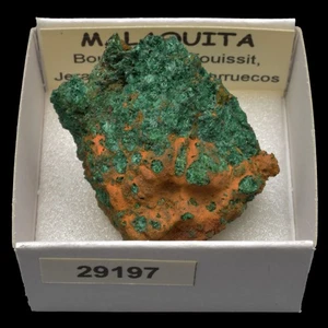 MALAQUITA (Bou Bekker, Touissit, Marruecos) #29197 / Malachite - Picture 1 of 1