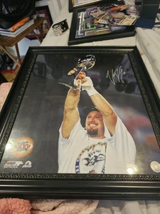 Ravens Trent Dilfer Autographed 16x20 Framed Color Photo - Picture 1 of 2