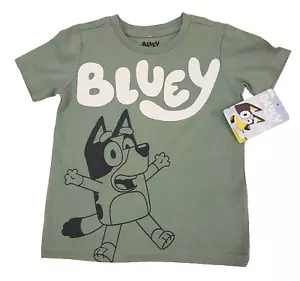 Bluey T-Shirt Toddler Boys Girls Size 4T Green Short Sleeve Disney Dog graphic - Picture 1 of 4