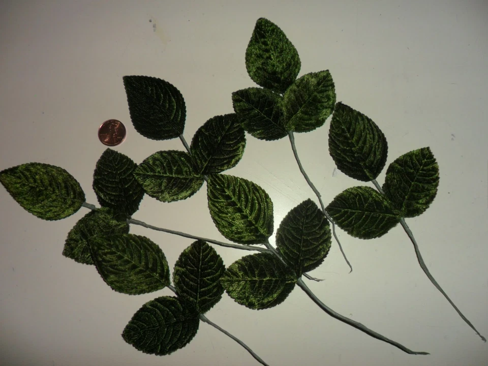 Hojas de rosa de terciopelo verde vintage Foto 1 de 1