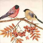 Q388# 3 x Single Paper Napkins For Decoupage Two Robin Birds On Berry Twig Pink