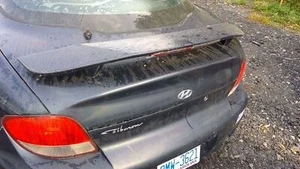 2000 2001 Hyundai Tiburon Rear Spoiler (Less Brake Light) Black (KJ) 8721127700 - Picture 1 of 3