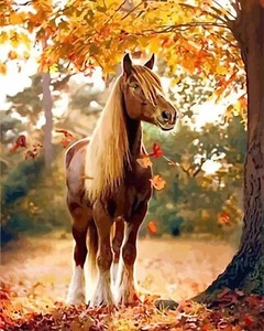 Pintura por números caballo con marco de madera - Imagen 1 de 12