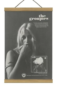 Seltene Groupies Promo / ORIGINAL Anzeige, montiert mit Magnetrahmen! - Bild 1 von 3