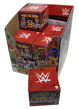 WWE Beast Mode Series 1 Blind Box