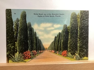 Scene Along Wells Road: Palm Beach, FL - Vintage Postcard - Picture 1 of 3