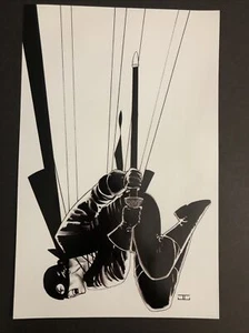 Zorro #1 B&W COVER Dynamite Comics Poster Print 8x12 John Cassaday - Picture 1 of 1