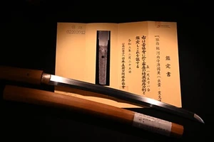 Wakizashi Japanese sword Kawachi no kami Minamoto Kunihide Edo era NBTHK hozon - Picture 1 of 20