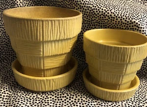 McCoy 2 Pezzi Cesto Giallo Intreccio Fioriere Fioriere 5” e 4” con Piatto Attaccato - Foto 1 di 10