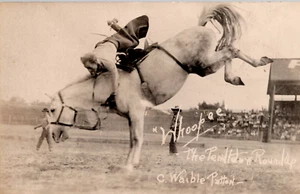 RPPC Oregon Pendleton Roundup Rodeo Cowboy Bucking Bronco Busting Waible Patton - Picture 1 of 4