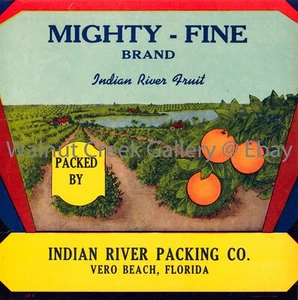 Florida Fruit Crate Label Fine Art Print, Grove , approx 10.8"x 10.9" 12956 - Picture 1 of 1