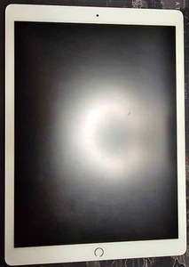 iPad Pro - 2nd Gen - Apple - 512GB - Wi-Fi - 12.9 in - Gold - Excellent Con. - Picture 1 of 7