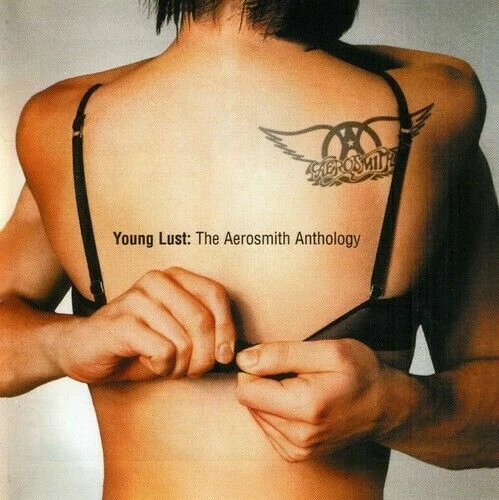 2-CD-Set AEROSMITH Young Lust: the Aerosmith Anthology GEFFEN 2001 34 Hits rem. - Bild 1 von 1