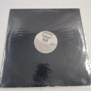 FAT WAX # 18 ~ PRO DJ VINYL  Busta Rhymes 50 Cent Fabulous Lil Kim Xzibit Mary J - Picture 1 of 16