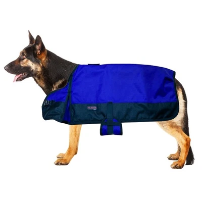 HILASON 200 GSM 600D Invierno Impermeable Perro Manta Abrigo Azul Real Foto 1 de 2