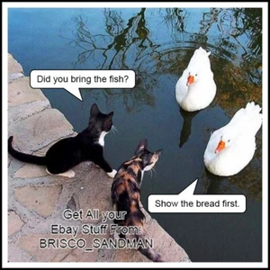 Fridge Fun Refrigerator Magnet "DUCK DEAL" Cats dealing w/ ducks Funny Animals - Picture 1 of 12