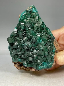 SS Rocks - Dioptase (Mindouli Pool Dept, Republik Kongo) 304g - Bild 1 von 7