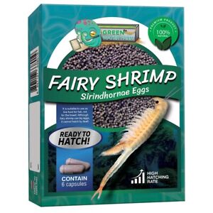 Fairy Shrimp Sirindhornae Eggs Live Fish Food for Hatching and Feed Betta Fish