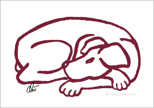 JACQUELINE DITT - Dog Red A2 signiert ltd.Original Druck Grafik Hund Bilder gr. - Bild 1 von 2