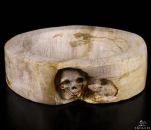 Piatto Teschio Cristallo Intagliato Ramo Legno Pietrificato 7,0" Design Originale - Foto 1 di 10