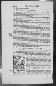 1574 S. Munster Antique Print Engravings to Text - The Crown of Castile, Spain - Picture 1 of 2