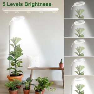 wolezek Pflanzenlampe 160cm LED 80 LEDs 6500K Light NEU R2377 - Bild 1 von 3