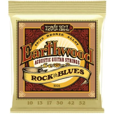 Saiten Westerngitarre Ernie Ball Earthwood EB2008 010-052 Gitarren Saiten Gitarr
