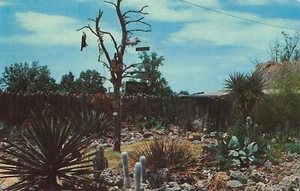 Postcard TX San Marcos Aquarena Texana Village Exhibit Angelina Cnty 60s-70s - Picture 1 of 2