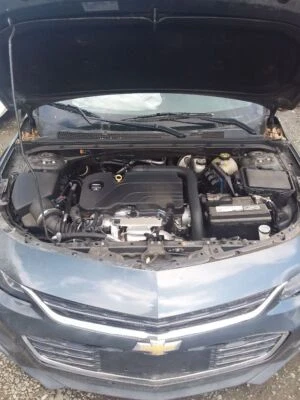 Used Deck Lid fits: 2017 Chevrolet Malibu VIN Z 4th digit new style incandescent Foto 1 de 4