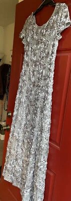 Alex Evenings银色礼服 — 第 1/4 张图片