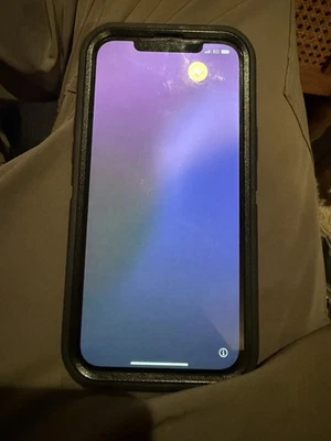 iPhone 12 Pro Max. 512GB. Used-Near Mint. Pacific Blue. - Image 1 of 4