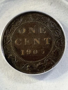 1903 Canada Large Cent Bronze Coin Graded XF 45 by ANACS - Picture 1 of 8