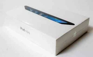 Apple iPad Mini 5(5th Gen.) 256GB Wi-Fi + 4G(UNLOCKED) 7.9" Gray NEW OTHER BOX - Picture 1 of 2