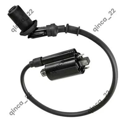 Ignition Coil w/ Spark Plug Boot & Wire For Polaris RZR 170 2015-2021 0455029 - Image 1 of 4