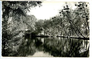 CP 91 ESSONNE - Lozère-sur-Yvette - La Lac - Picture 1 of 1