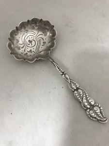 Tiffany Serving Spoon Pierced Sterling Silver Ailanthus Sugar Sifter - Picture 1 of 8