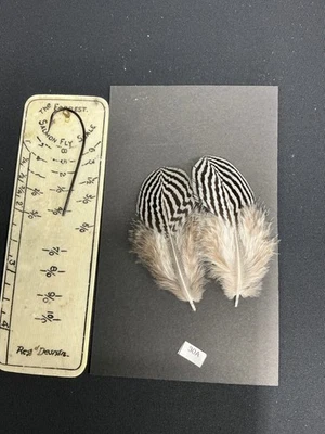 Cruz de Anderson plumas de faisán plateado 3 Foto 1 de 4