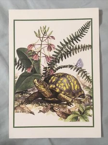 Turtle Drawing Greeting Card Front, Art and Crafts Pieces, used stationery - Picture 1 of 4