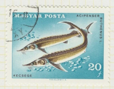 Hungary Stamps: 1966 to 1968 Collection on Album Leaves; CV £58.10 - Image 1 of 4