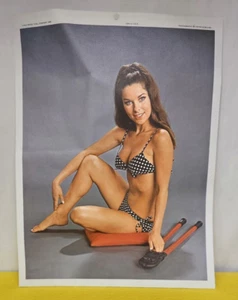 Calendario vintage Rigid Tool Co. Pinup Girl 1969-1970 - Imagen 1 de 4