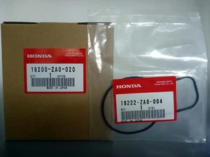 GENUINE HONDA Water Pump&Gasket 19200-ZA0-020&19222-ZA0-004 ES6500 EX5500 EL5000 - Picture 1 of 12